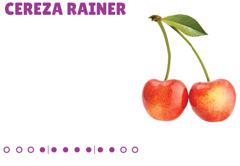 Cereza Rainer