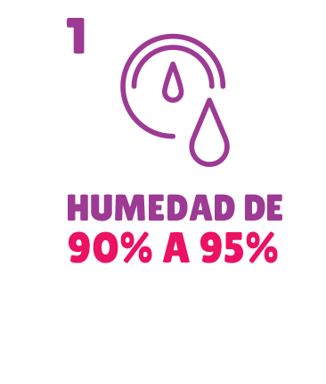 Humedad 90 a 95 por ciento