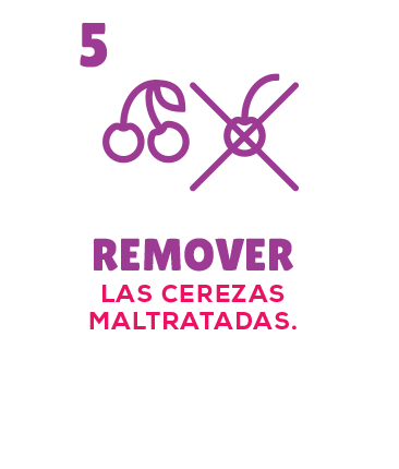 Remover cerezas maltratadas